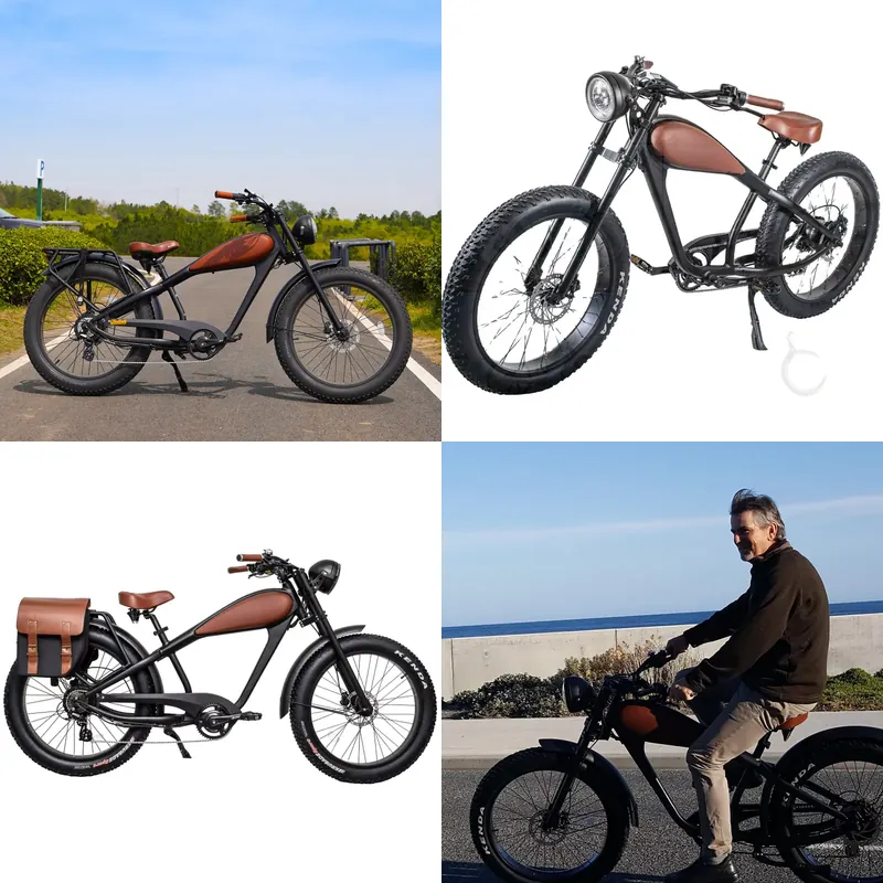 Road Bike Tire - دراجة كهربائية كلاسيكية OEM بقوة 750