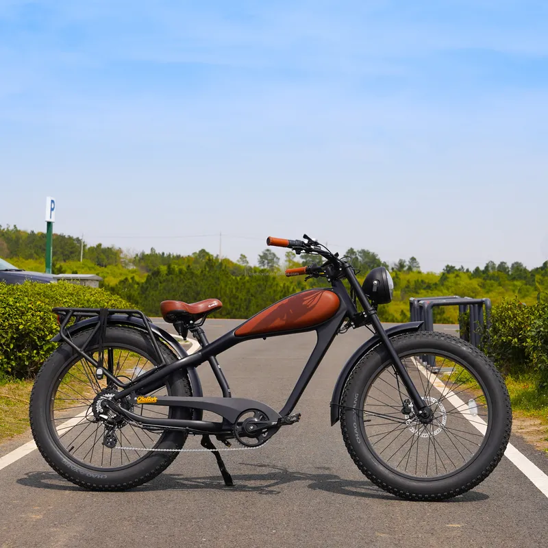 دراجة كهربائية كلاسيكية OEM بق - مراجعة Road Bike Tire وسعره